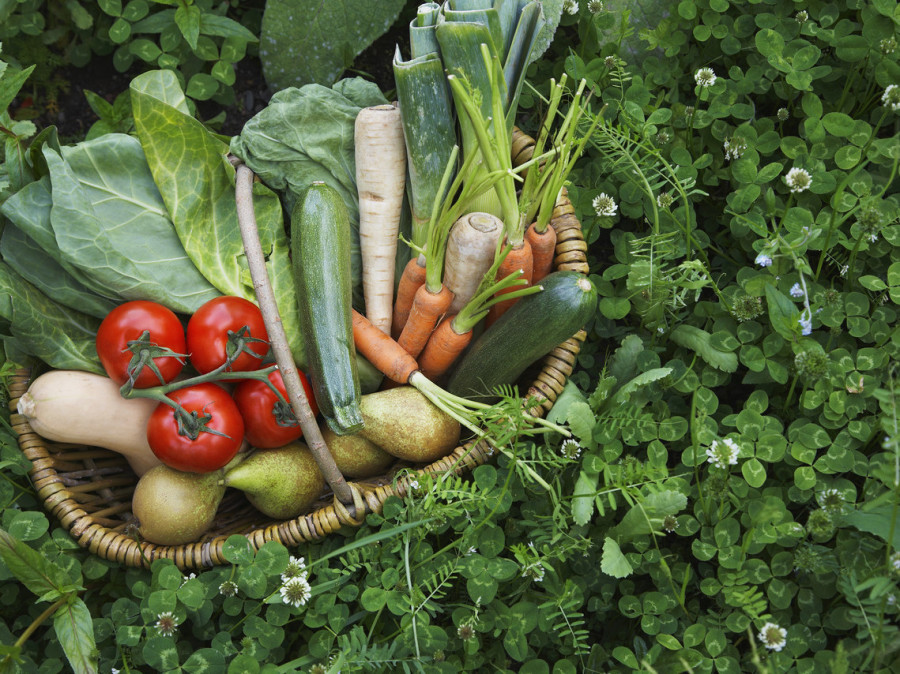 Basische Ernährung bei Bluthochdruck